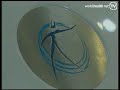 10. Aerobic Spa  Heart Attack Heart and Circulation