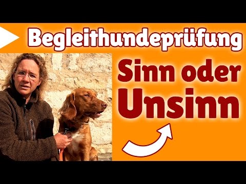Begleithundeausbildung Nrw Begleithundeausbildung Nrw