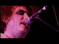 The Cure - Lullaby (Live 2004)
