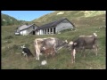 Clicca per visualizzare il video : Laghi & Monti: 2° puntata dedicata agli interventi finanziati dal Gal in ambito turistico
