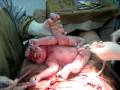 gerard alvin and vanessa mojica's angel..... monique krishna mojica.. we love you so much!!!!