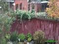 videos de First Snow in 2008, Solihull, West midlands, UK