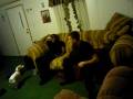 videos de 10-30-08  Chukies place