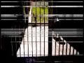 Parkour 92i Parkour 92i