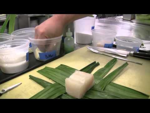 how to harvest pandan leaves