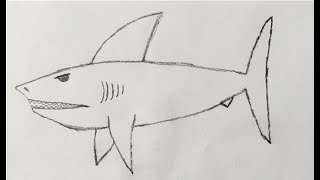 Kolay Resim Çizme Köpek Balığı - easy drawing
