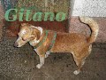 Protectoras de Ser�n y Poago