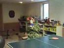 Ping pong
