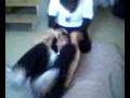 videos de Tombstone oohhh! Cuentale, cuentale.....