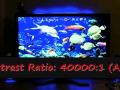 23inch acer (x233hb)