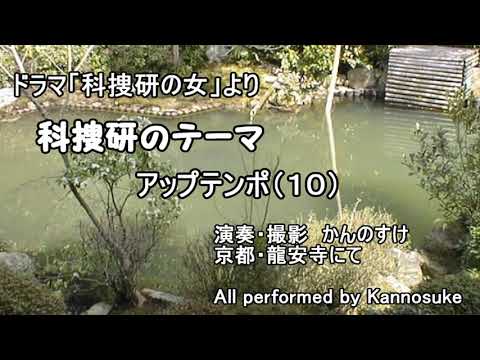 動画