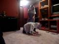 videos de Little Bo Peep