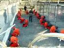 gitmo - http://www.guardian.co.uk/profile/glenn-greenwald This American Life podcast.