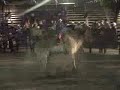 jaripeo ranchero df