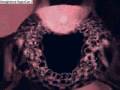 Honky Tonk Badonkadonk - Trace Adkins