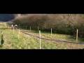videos de Cross del Chiese, 23 Novembre 2008 - Condino (Trento) - Gara femminile