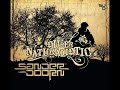 Sander Van Doorn - Outrospective