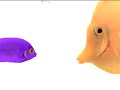 Telus Fish - Talk to you