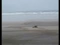 carson attack at pendine wales