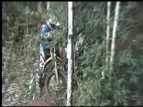 Maleny Trail Ride 2008 Directors cut