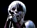 sir-psycho-sexy-red-hot-chili-peppers.html