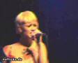 Bunny Rabbit Lovers and Crypts one more song