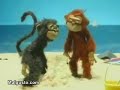 Monos graciosos