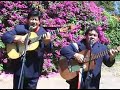 M�no Gomez y sus Triunfadores Carapegue�os - Nde la yvoty, c