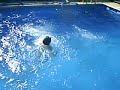 piscina chato bici piscina chato bici