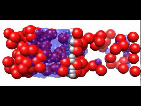 how to dissolve hydrophobic peptides
