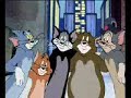 King of the cats King of the cats