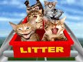 Very Funny Cats Part 5