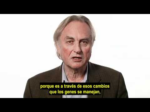 Imagen de previsualización de YouTube
