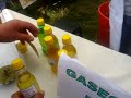 huanta maynay gaseosa, pan y keke de coca huanta maynay gaseosa, pan y keke de coca