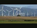 migraci�n aves gibraltar -Luis Miguel Dom�nguez Avatar