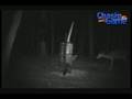 HCO HuntingCamOnline.com ScoutGuard SG550 Movie Sample