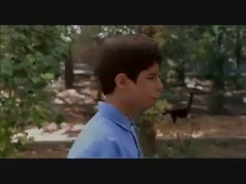 Image de prévisualisation YouTube