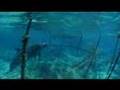 Video ansehen