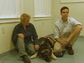 Hero Police Dog Needs Help