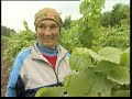 ПОДОРОЖ У СВІТ ВИНА, серія 1, частина 2