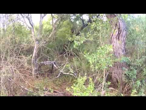 how to locate running train