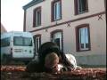 videos de Short Film.mpg