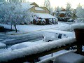 neve em kirkland neve em kirkland