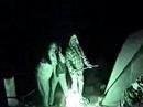 Bark at the Racoon OZZY goes Camping! Bark at the Racoon OZZY goes Camping!