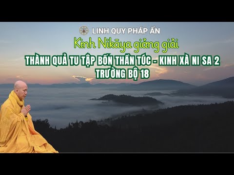 NIKAYA Giảng Giải -Thành Quả Tu Tập Bốn Thần Túc - Kinh Xà Ni Sa 2 - Trường Bộ 18