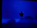 Ratchet and Clank UYA Glitch Video 7