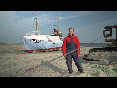 Dnemark: Kleine Fischer taten sich zusammen, um ihre  ...