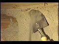 One of the Largest Eastern Subterranean MudTubes Ever Found