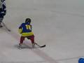 8. Memorijalni turnir u hokeju na ledu Sisic (U8) 18.-19.04.2009 - KHK CRVENA ZVEZDA(KRALJEVI)