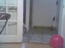 BALLOONS!!!!! BALLOONS!!!!!